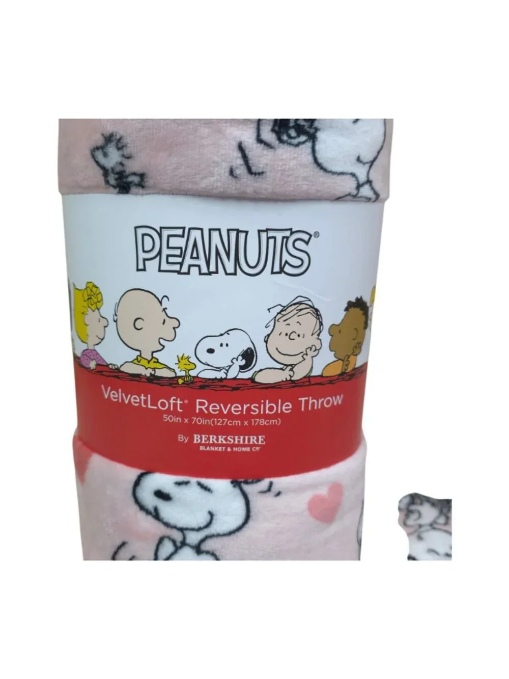 Peanuts Snoopy Reversible Velvet Soft Throw Blanket 50x70 Inch Blue Pink